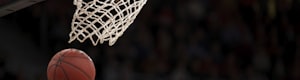 美国职业篮球联赛 NBA 官方标志